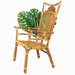 Boxed - Bluetooth Headphone