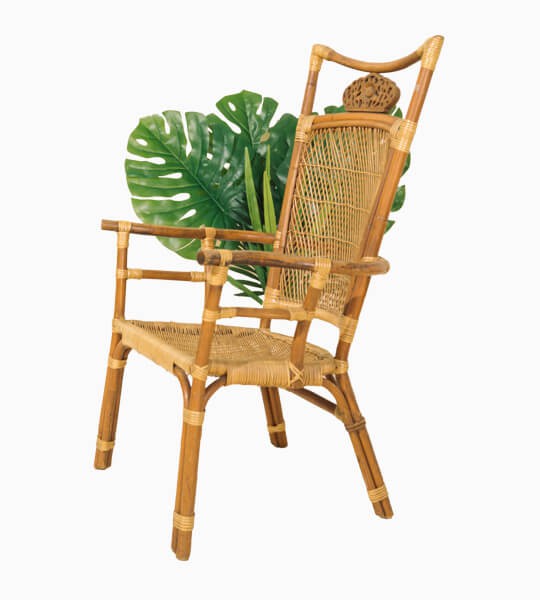 Boxed - Bluetooth Headphone